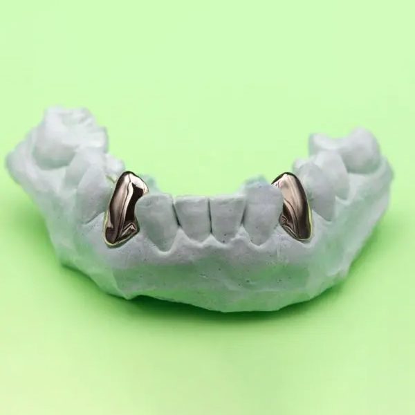 Double 18K Gold Canine